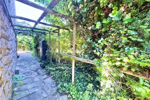 Side Garden- click for photo gallery